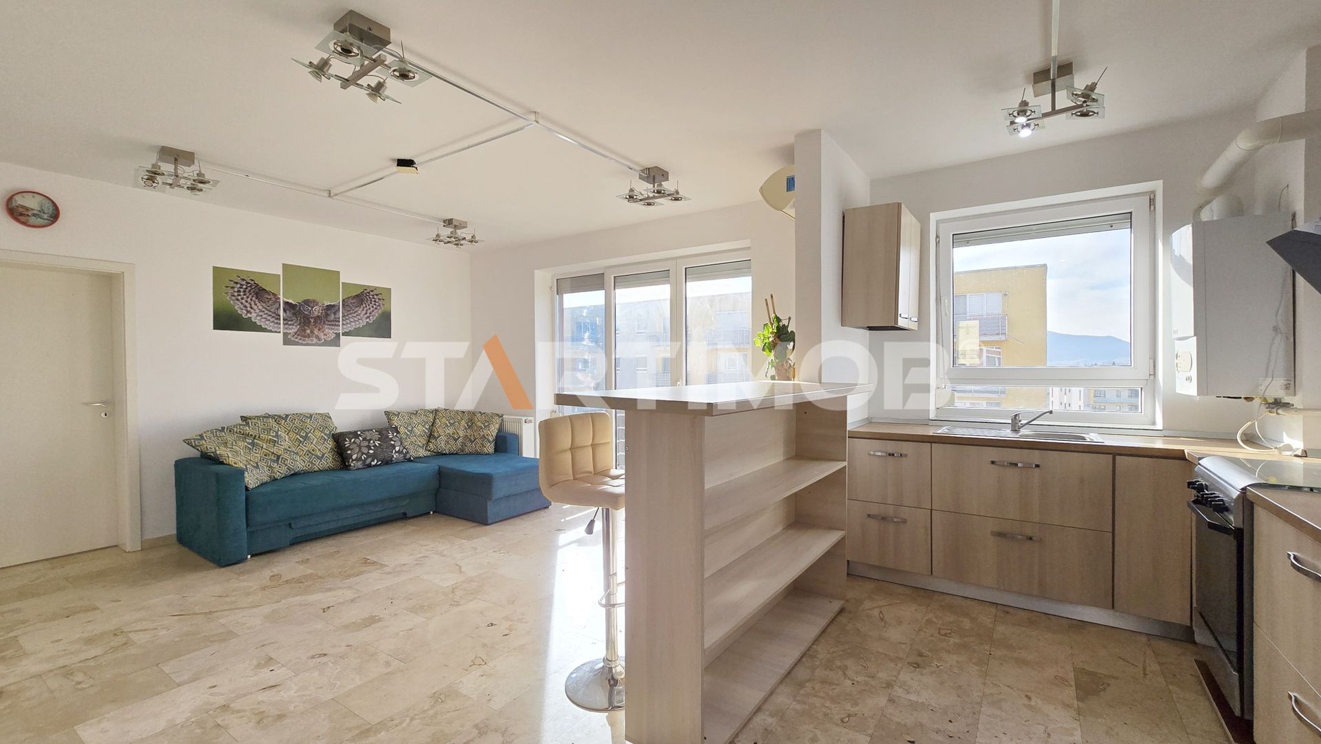 Apartament  cu boxa si parcare Avantgarden