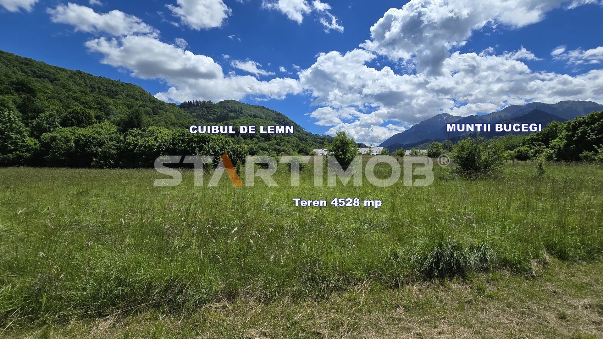 Teren extravilan Glajarie zona Cuibul de Lemn